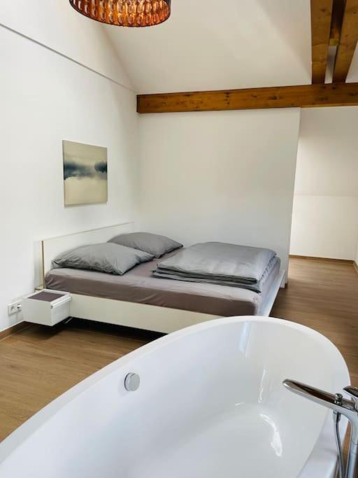 Traumvilla Im Herzen Hainichens Exteriör bild