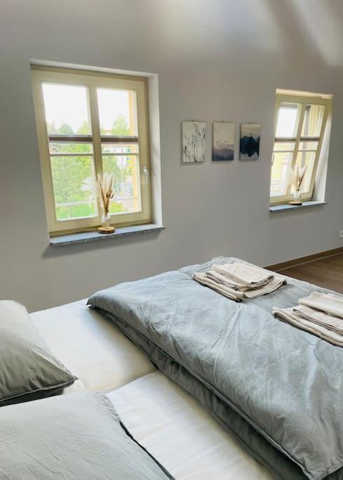 Traumvilla Im Herzen Hainichens Exteriör bild