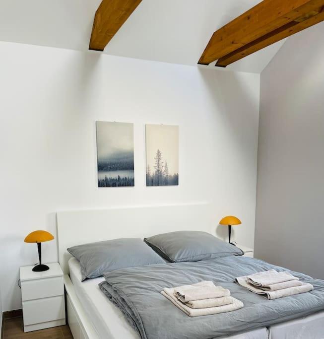 Traumvilla Im Herzen Hainichens Exteriör bild